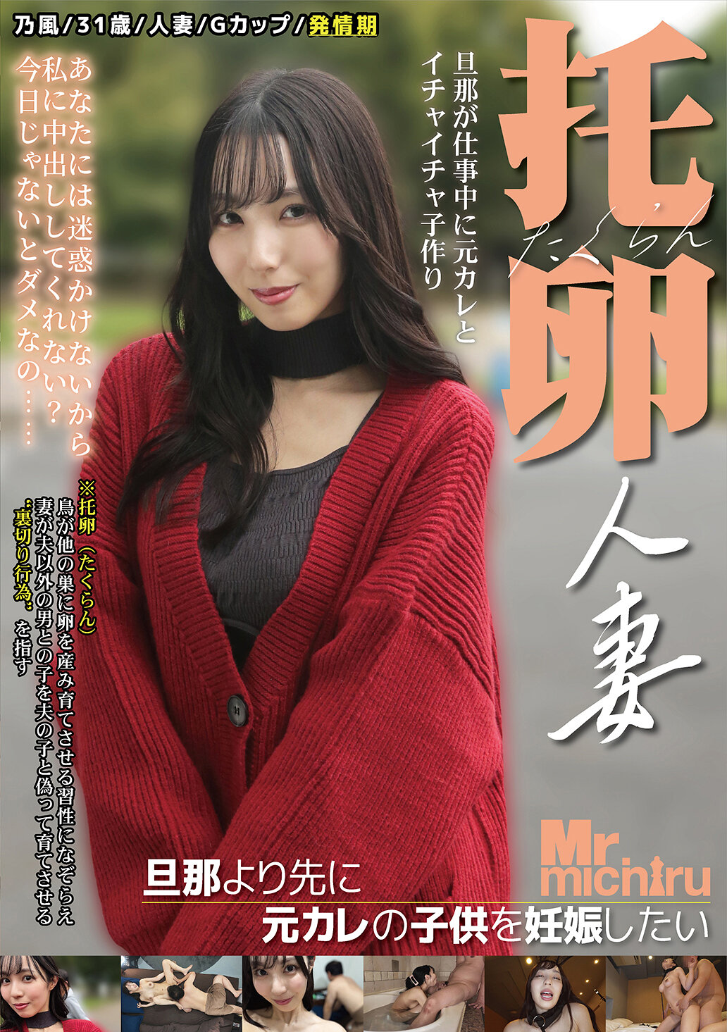 托卵人妻 ～旦那より先に元カレの子供を妊娠したい～ 藤川乃風